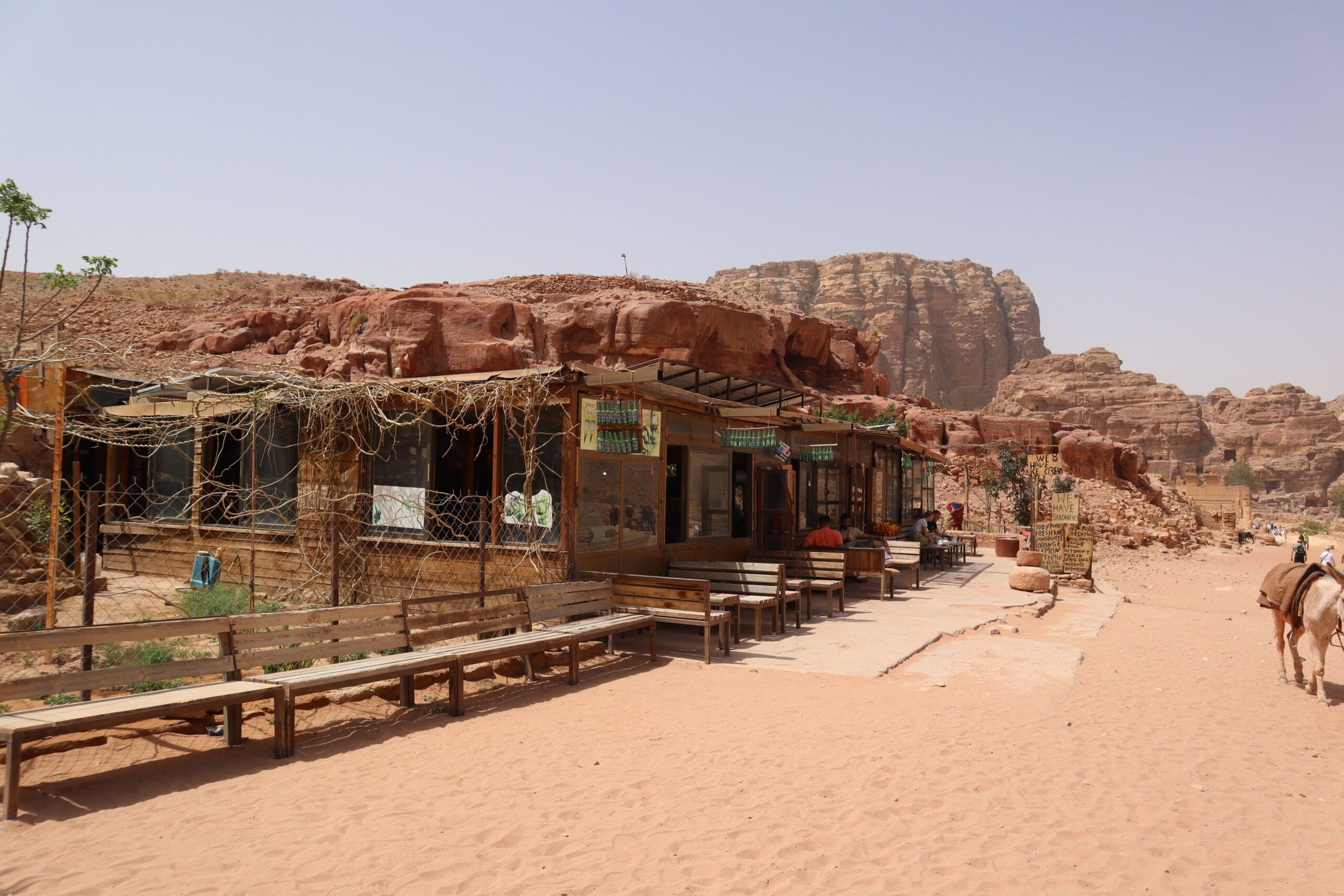 petra offizorz