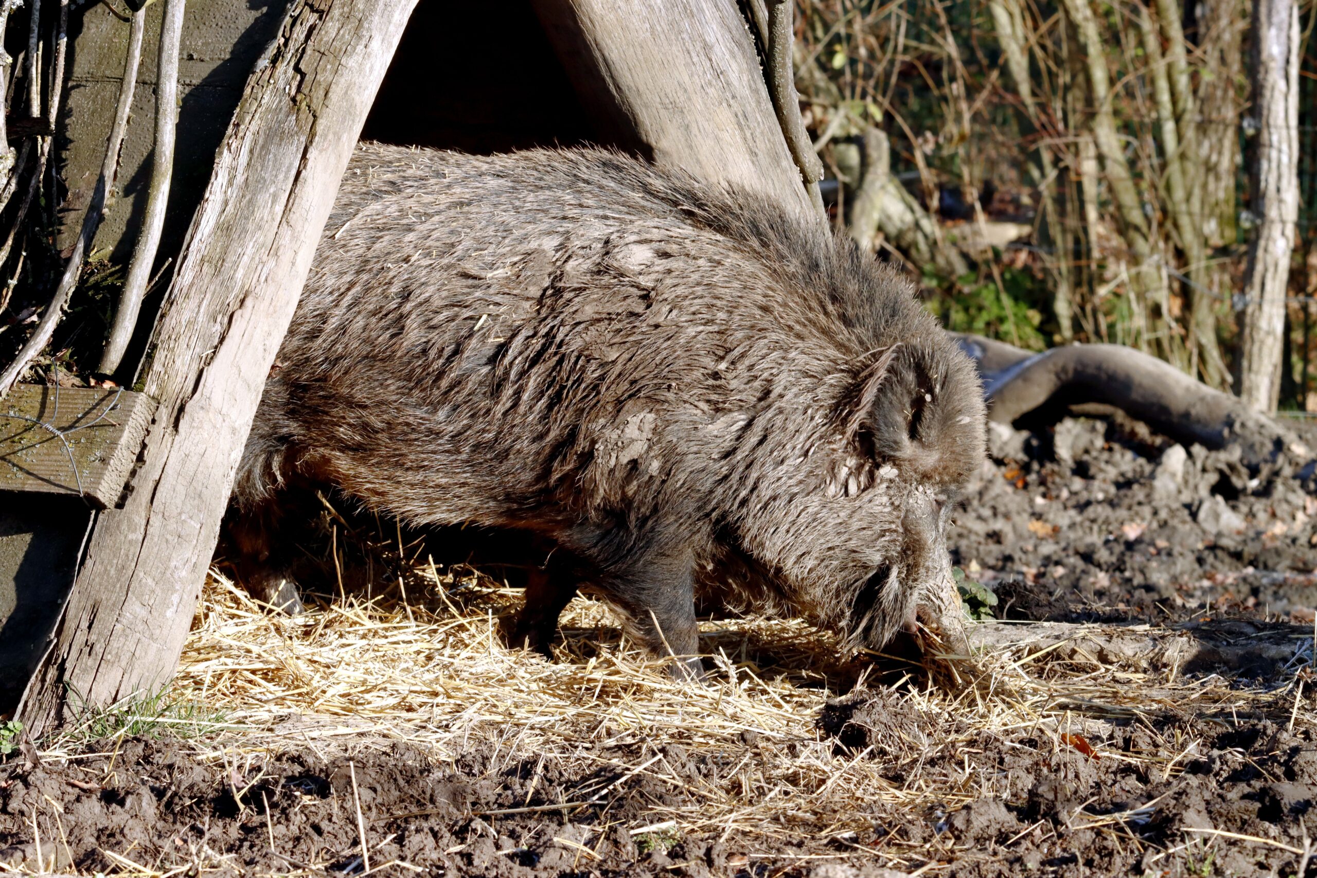 wildgehege rabensleite