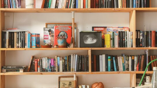 bücherregal